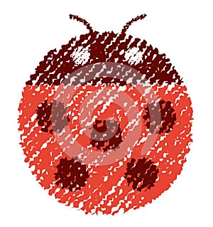 Ladybird  illustration / handwriting style